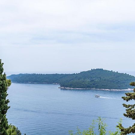 Villa Green Panorama ドゥブロブニク エクステリア 写真